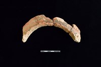 陶罐藏品圖，第2張